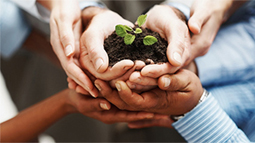 重新定义未来的网站流量攻击